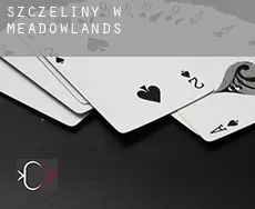 Szczeliny w  Meadowlands