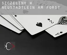 Szczeliny w  Neustädtlein am Forst