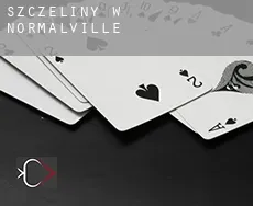 Szczeliny w  Normalville