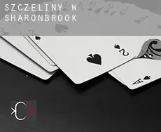 Szczeliny w  Sharonbrook