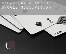 Szczeliny w  Smith Shoals Subdivision