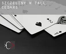 Szczeliny w Tall Cedars