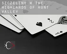 Szczeliny w The Highlands of Hunt Valley