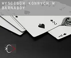 Wyścigów konnych w  Barnaboy