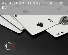 Wyścigów konnych w  Cwm-du