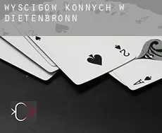 Wyścigów konnych w Dietenbronn