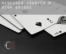 Wyścigów konnych w  High Bridge