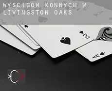 Wyścigów konnych w Livingston Oaks