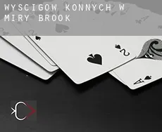 Wyścigów konnych w Miry Brook