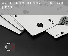 Wyścigów konnych w  Oak Leaf