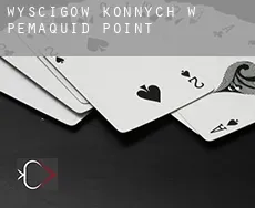 Wyścigów konnych w  Pemaquid Point