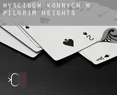 Wyścigów konnych w Pilgrim Heights