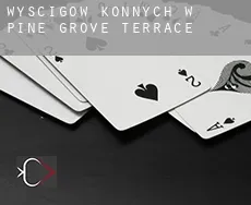 Wyścigów konnych w Pine Grove Terrace
