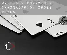 Wyścigów konnych w Shronacarton Cross Roads