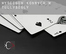 Wyścigów konnych w  Tullybegly