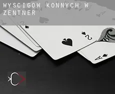 Wyścigów konnych w  Zentner