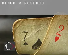 Bingo w  Rosebud