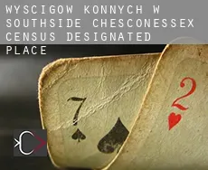 Wyścigów konnych w Southside Chesconessex