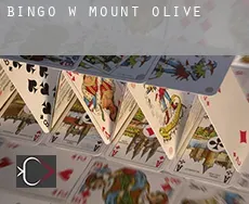 Bingo w Mount Olive