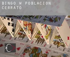 Bingo w  Población de Cerrato