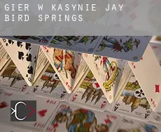 Gier w kasynie  Jay Bird Springs