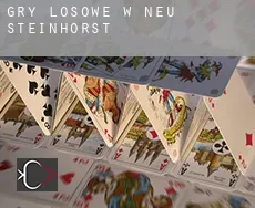 Gry losowe w  Neu Steinhorst