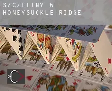 Szczeliny w  Honeysuckle Ridge