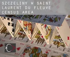Szczeliny w  Saint-Laurent-du-Fleuve (census area)