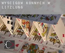 Wyścigów konnych w Litzlung