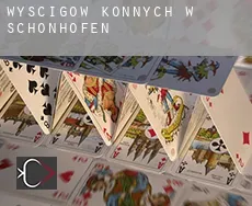 Wyścigów konnych w Schönhofen