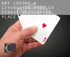 Gry losowe w  Livingston Wheeler