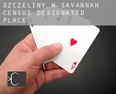 Szczeliny w  Savannah