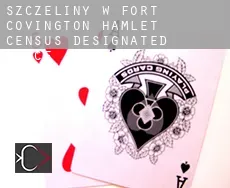 Szczeliny w  Fort Covington Hamlet