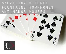 Szczeliny w Three Fountains Townhomes and Manor Houses