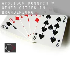 Wyścigów konnych w Other cities in Brandenburg