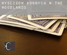 Wyścigów konnych w The Woodlands