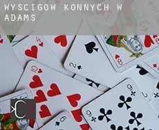 Wyścigów konnych w  Adams