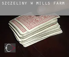 Szczeliny w Mills Farm