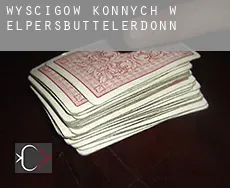 Wyścigów konnych w Elpersbüttelerdonn