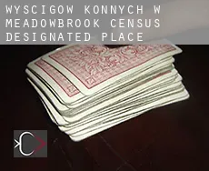 Wyścigów konnych w  Meadowbrook