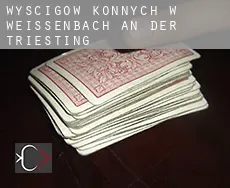 Wyścigów konnych w  Weissenbach an der Triesting